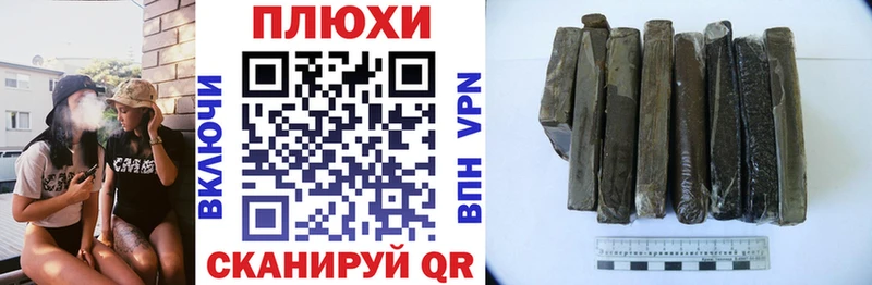 Купить где  Губкин  ГАШИШ Premium 