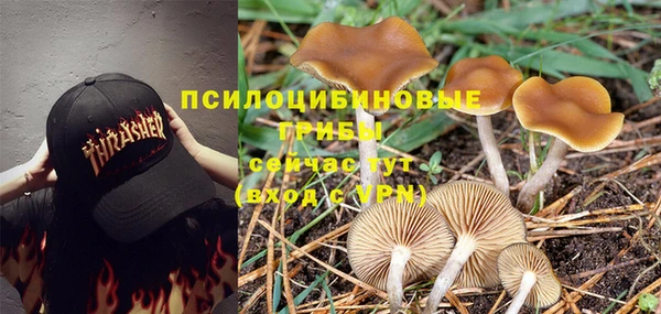 крисы Кукмор