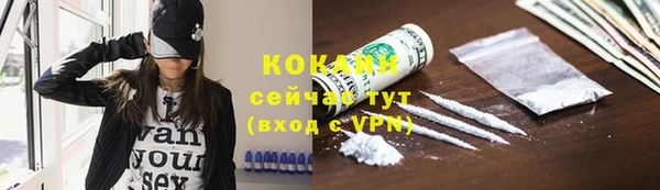 крисы Куйбышев