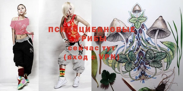 прущая мука Кулебаки