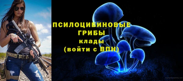 прущая мука Кулебаки