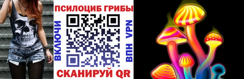 Купить  Губкин  Псилоцибиновые грибы Psilocybe 