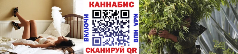 Бошки Шишки семена Губкин